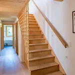 Stella Penthouse Daire *